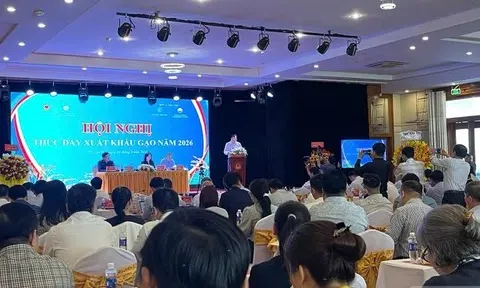 Xuất khẩu gạo năm 2026: Tăng trưởng sản lượng, đặt ra yêu cầu nâng cao giá trị