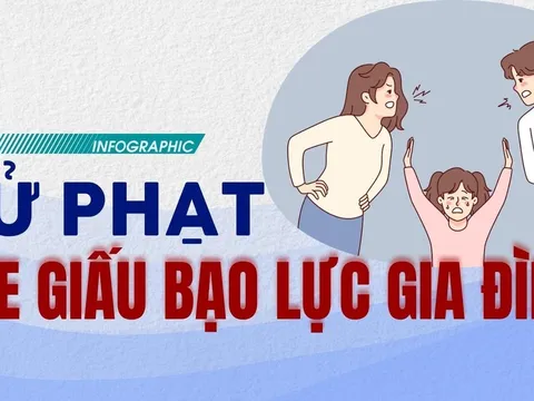 Chi tiết mức phạt các hành vi liên quan đến bạo lực gia đình mới nhất